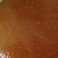 close-up of UMF Manuka honey